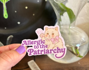 Może przedstawiać: Naklejka z ilustracją kreskówkowego kota z różową kokardą i napisem "Allergic to the Patriarchy". Kot ma podniesioną łapę ze śladami pazurów. Projekt jest różowy i biały.