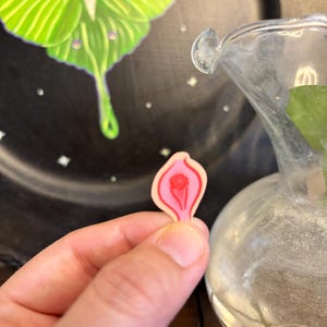 May include: A small, pink and red anatomical illustration of a vulva is held in a hand. A large, green moth with a detailed wing pattern is visible on a black background. A clear glass vase is in the background.