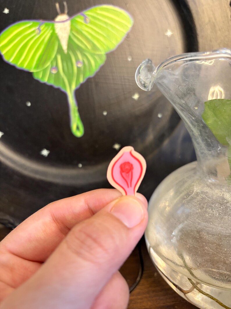 May include: A small, pink and red anatomical illustration of a vulva is held in a hand. A large, green moth with a detailed wing pattern is visible on a black background. A clear glass vase is in the background.