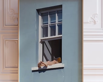 Blue Window Architecture Print, zomer redactionele fotografie (digitale download)