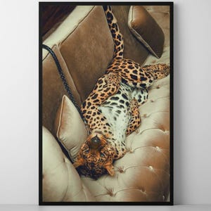 Luxury Leopard Print: Velvet Sofa, Boho Wall Art (Digital Download)