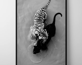 Tiger vs Panther Print: Monochrome Jungle Animal Photography (Digital Download)