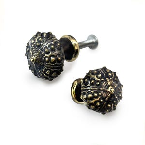 Sea Urchin Knob | Handmade | Gold Brass Oxidized