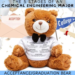 Op de afbeelding: Een bruine teddybeer met een wit t-shirt met tekst over de fasen van een chemische engineering major. De beer heeft een zwarte vlinderdas en is omringd door feestelijke elementen, waaronder een diploma en een universiteitsvlag. De tekst "ACCEPTANCE/GRADUATION BEAR" staat onderaan.