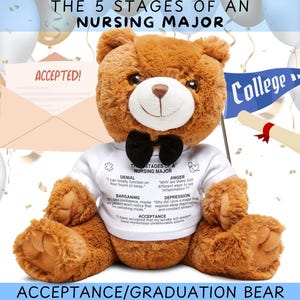 Nursing Major College Acceptance Gift, Graduation Teddy Bear, Graduation Gift, Nursing Major