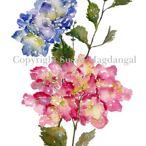 Hydrangea Watercolor, Fine Art Print, Watercolor Flowers, Hydrangeas, 8x10, 11x14 image 2