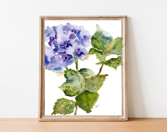 Hydrangea Watercolor, Print from Watercolor, 8x10, 11x14, Watercolor Flowers