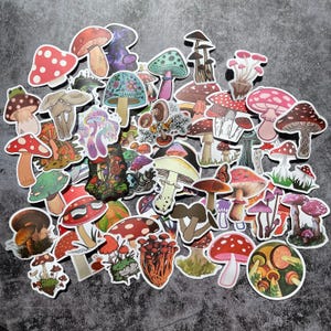 Mushroom Vinyl Pack 50PCS | Forest Fungi Waterproof Decals for Laptop & Journal