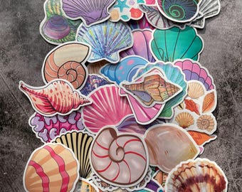 Snäckskalsdekaler 50-pack | Söta havs- och strandklistermärken | Scrapbooking, dagbok, laptopdekor