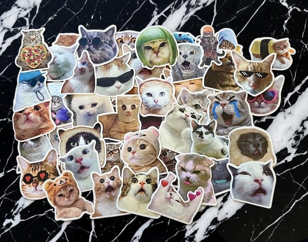 Funny Meme Cat Stickers Pack, Viral Internet Cat Decals for Laptop ...