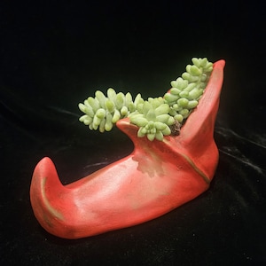 May include: A red ceramic planter shaped like an elf's shoe, filled with green succulent plants. The planter has a rustic finish with brown accents. The plants are a light green color and cascade over the edge of the shoe.