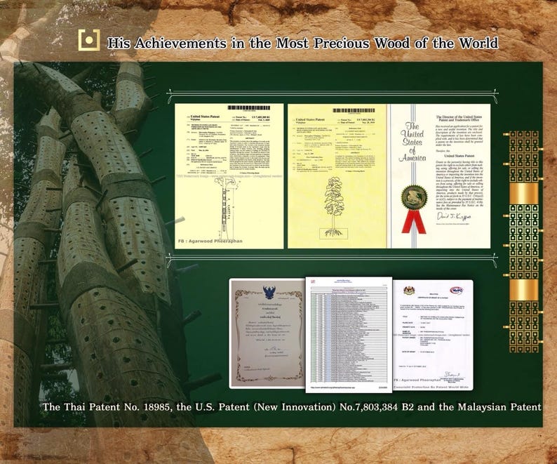 May include: A collage of documents showcasing a wood product's patents. The documents include the Thai Patent No. 18985, the U.S. Patent (New Innovation) No. 7,803,384 B2, and the Malaysian Patent. The documents are displayed on a green background with a wooden frame.