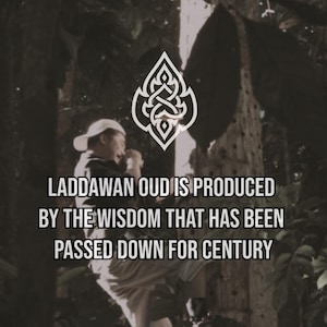 May include: A person wearing a white cap stands in a forest setting. The text "LADDAWAN OUD IS PRODUCED BY THE WISDOM THAT HAS BEEN PASSED DOWN FOR CENTURY" is displayed in white text on a black background.