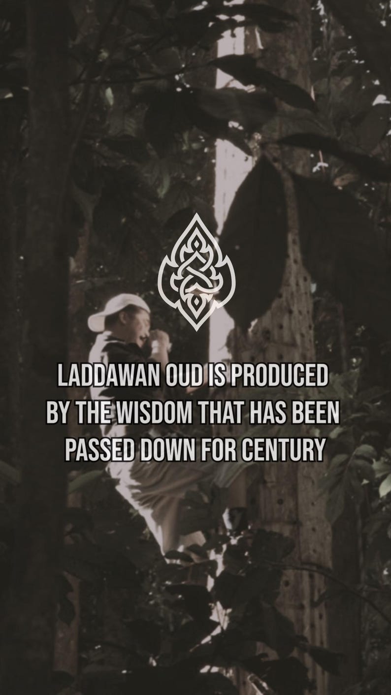 May include: A person wearing a white cap stands in a forest setting. The text "LADDAWAN OUD IS PRODUCED BY THE WISDOM THAT HAS BEEN PASSED DOWN FOR CENTURY" is displayed in white text on a black background.