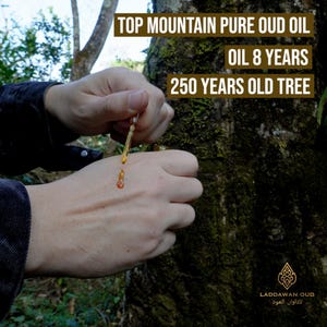 May include: A close-up of a person's hand dispensing Top Mountain Pure Oud Oil. The text on the image reads "TOP MOUNTAIN PURE OUD OIL OIL 8 YEARS 250 YEARS OLD TREE". The oil is a golden amber color, and the background is a tree trunk.