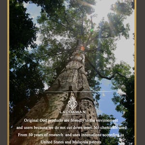 May include: A tall, brown tree trunk with a bright blue sky and green leaves in the background. The text "LADDAWAN" is visible at the bottom of the image. The text reads: "Original Oud products are friendly to the environment and users because we do not cut down trees. No chemicals used. From 50 years of research and uses innovations according to United States and Malaysia patents."