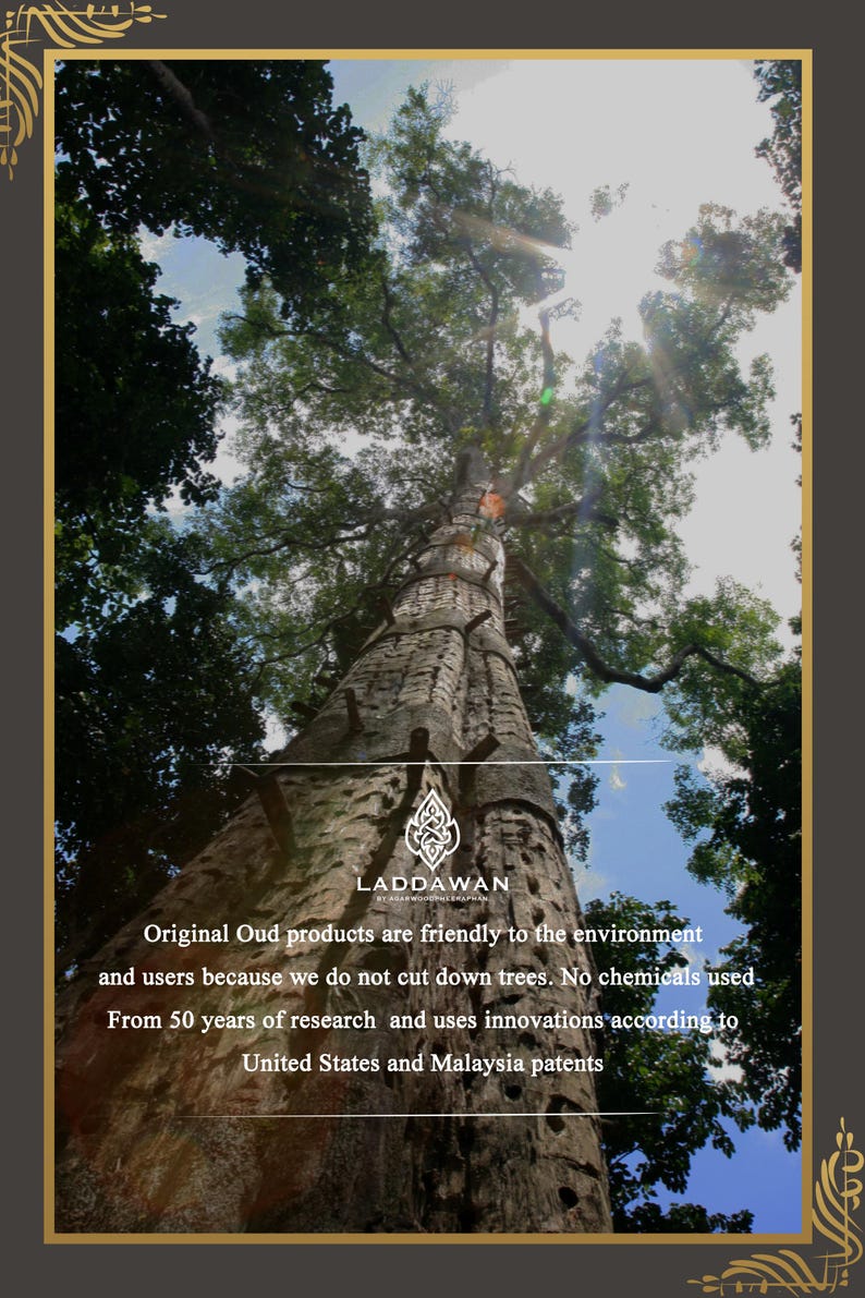 May include: A tall, brown tree trunk with a bright blue sky and green leaves in the background. The text "LADDAWAN" is visible at the bottom of the image. The text reads: "Original Oud products are friendly to the environment and users because we do not cut down trees. No chemicals used. From 50 years of research and uses innovations according to United States and Malaysia patents."