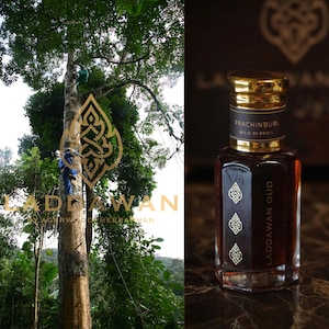 Oud Oil Prachin Crassna 120 Years Old tree Red Sweet Pure Oud 100%  Have Certificate and Patent