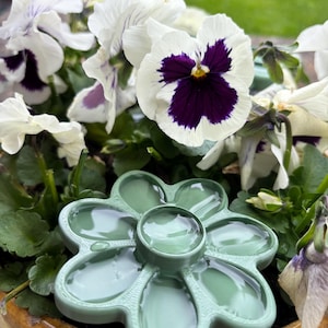 May include: A flower pot with white and purple pansies, with a light green, flower-shaped paint palette in the foreground. The palette has several wells for holding paint and a central area. The pot is made of terracotta.