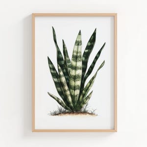 Sansevieria Botanical Art Print, Snake Plant Illustration, Tropical Houseplants Digital Download, Urban Jungle Decor, Printable Wall Art