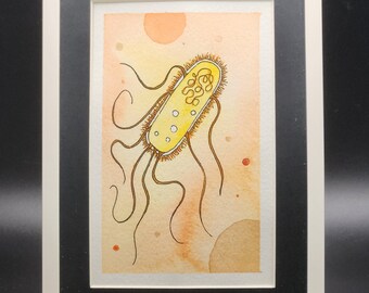 Escherichia coli Watercolor Print | Microbiology Art | Science Wall Décor | Giclée Framed 5x7 | STEM Gift for Scientists & Teachers