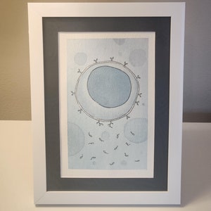 B cell watercolor print - Framed