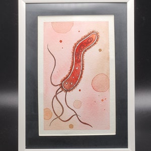 May include: A framed watercolour painting depicting a red, elongated microorganism with a textured body and several thin appendages. The artwork is in a white frame with a black mount, set against a black background. The background has soft, peach-coloured circles.