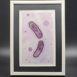 Klebsiella pneumoniae watercolor print - Framed