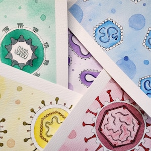 Peut inclure: Quatre aquarelles représentant différents virus. Chaque peinture présente un schéma de couleurs et un design différents. La première peinture est verte et blanche, la deuxième est violette et blanche, la troisième est bleue et blanche, et la quatrième est rose et rouge.