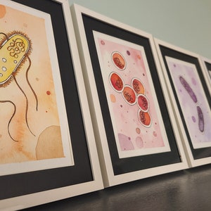 ESKAPE pathogens watercolor prints - Framed