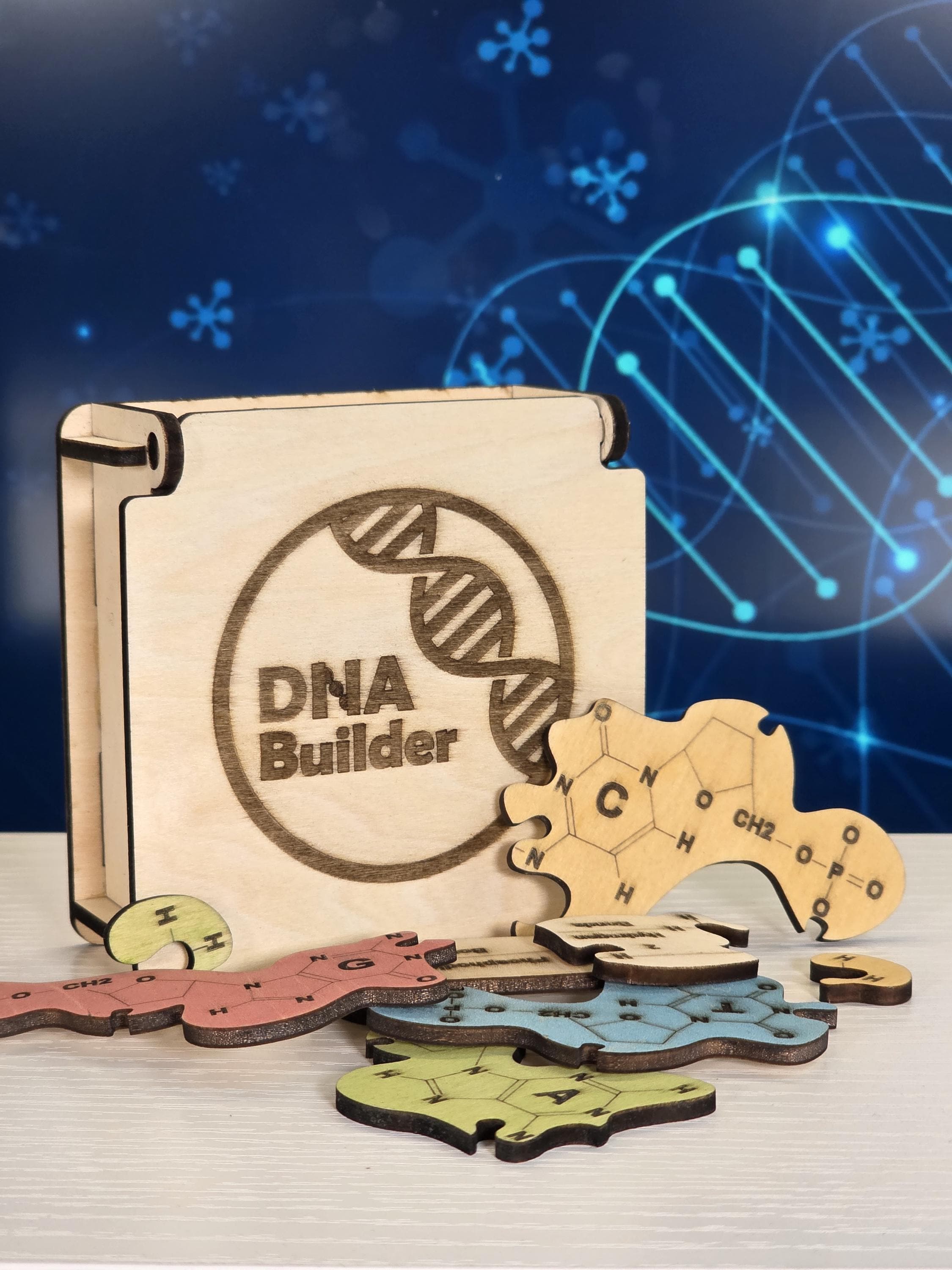Wooden DNA Puzzle: Educational STEM Biology Toy - Etsy