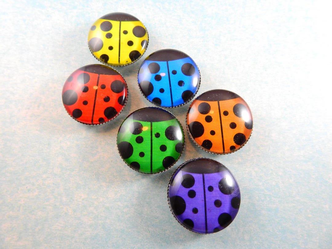 Rainbow Ladybug Magnets – Colorful Glass Cabochon Fridge Set – Bright ...