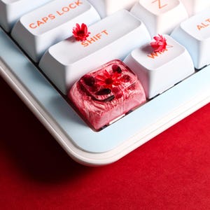 Peut inclure: Gros plan sur un clavier mécanique avec des touches blanches et un cadre bleu clair. Le clavier comporte une touche personnalisée avec un motif de fleur rouge. De petites fleurs rouges sont placées sur les touches blanches. Le fond est rouge uni.