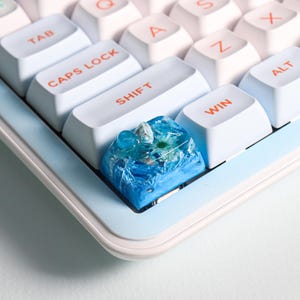 May include: A close-up of a blue and white resin keycap with a flower and small stones embedded in the resin. The keycap is on a white keyboard with the word "WIN" on the key to the right.