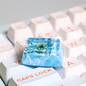 May include: A blue and white resin keycap with a pressed flower inside. The keycap is sitting on a white keyboard with the word "CAPS LOCK" printed on the key below it.