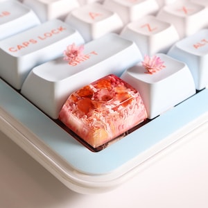 Peut inclure: Gros plan sur un clavier personnalisé avec des touches blanches et un cadre bleu clair. La touche espace est en résine transparente remplie de fleurs séchées roses et oranges. De petites fleurs roses sont placées sur les touches Maj.