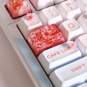 May include: Close-up of a computer keyboard with custom keycaps. Some keycaps are white, others are clear with pink and red floral designs. The "CAPS LOCK" and "SHIFT" keys are visible. Small pink flowers are placed on some keys.
