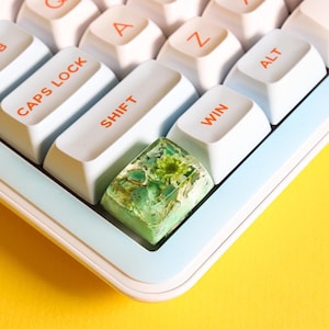 Peut inclure: Gros plan sur un clavier mécanique avec des touches blanches et bleu clair. Les touches "SHIFT", "CAPS LOCK", "WIN" et "ALT" sont visibles. Une touche personnalisée avec un motif floral vert est mise en évidence.