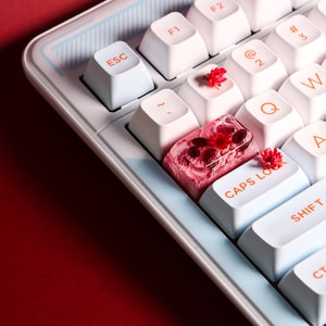 May include: Close-up of a mechanical keyboard with white keycaps and a light blue accent. The ESC, CAPS LOCK, and SHIFT keys are light blue. One keycap is a clear resin with red flowers. Small red flowers are placed on some keys.