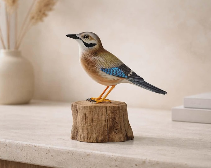 Jay On Tree Trunk