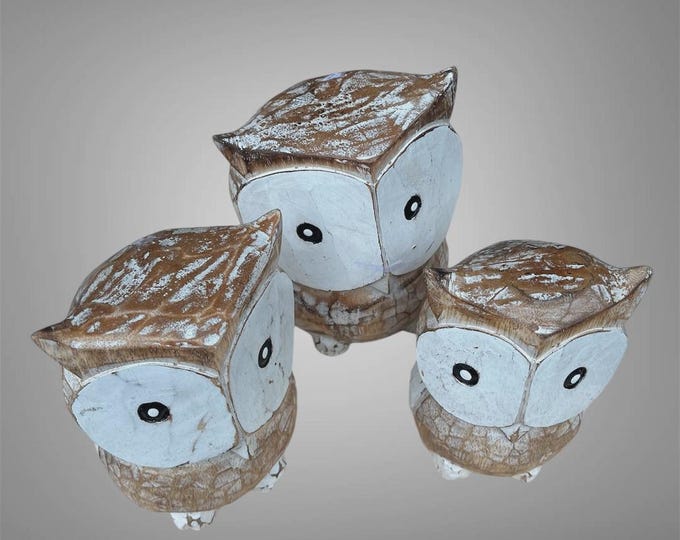 Set of 3 Wooden Painted Owls from Bali.  White med