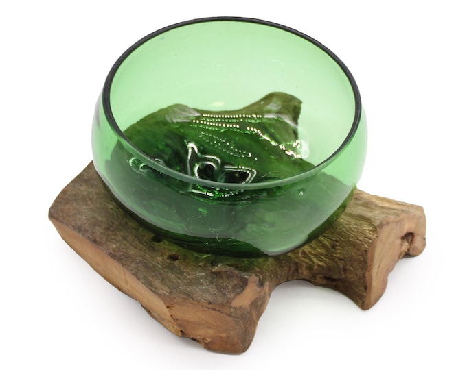Recycled Beer Bottles - Wide Bowl on Wood