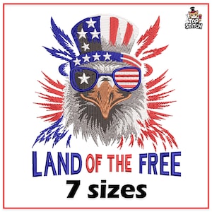 Desenho de bordado à máquina de águia patriótica americana, EUA, 4 de julho, arquivos de bordado à máquina pes, dst 4x4