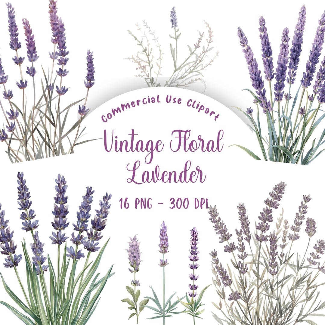 Purple Watercolor Lavender Botanical Print for Farmhouse Wall Decor ...