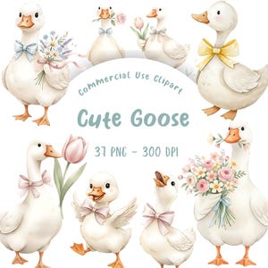 Può includere: Illustrazione ad acquerello di diverse oche bianche con fiocchi e fiori dai colori pastello. Il testo "Cute Goose" è visualizzato in un carattere stravagante, insieme a "Commercial Use Clipart" e dettagli dell'immagine.