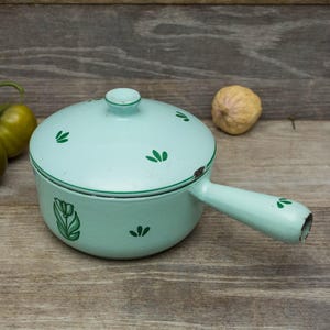 May include: A pale blue enamel pot with a lid and handle, adorned with green leaf motifs. The pot rests on a wooden surface. The pot is approximately 15 cm in diameter.
