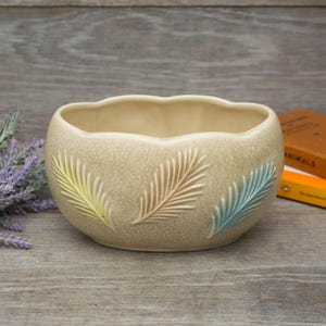 May include: A beige ceramic planter with a scalloped rim and a textured surface. The planter features three stylised, embossed leaves in shades of yellow, pink, and blue.