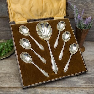 May include: A collection of silver spoons, including serving and individual sizes, presented in a velvet-lined box. The spoons feature a shell-shaped bowl design and ornate handle details. The box is open, showcasing the spoons against a brown velvet backdrop.