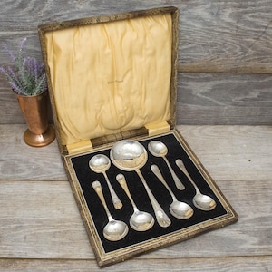 Vintage Dessert spoon and Server set in presentation box, circa 1920&#39;s.