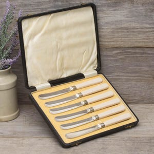 Vintage Cutlery, Afternoon tea utensils, butter spreaders in original box, circa early to mid century.